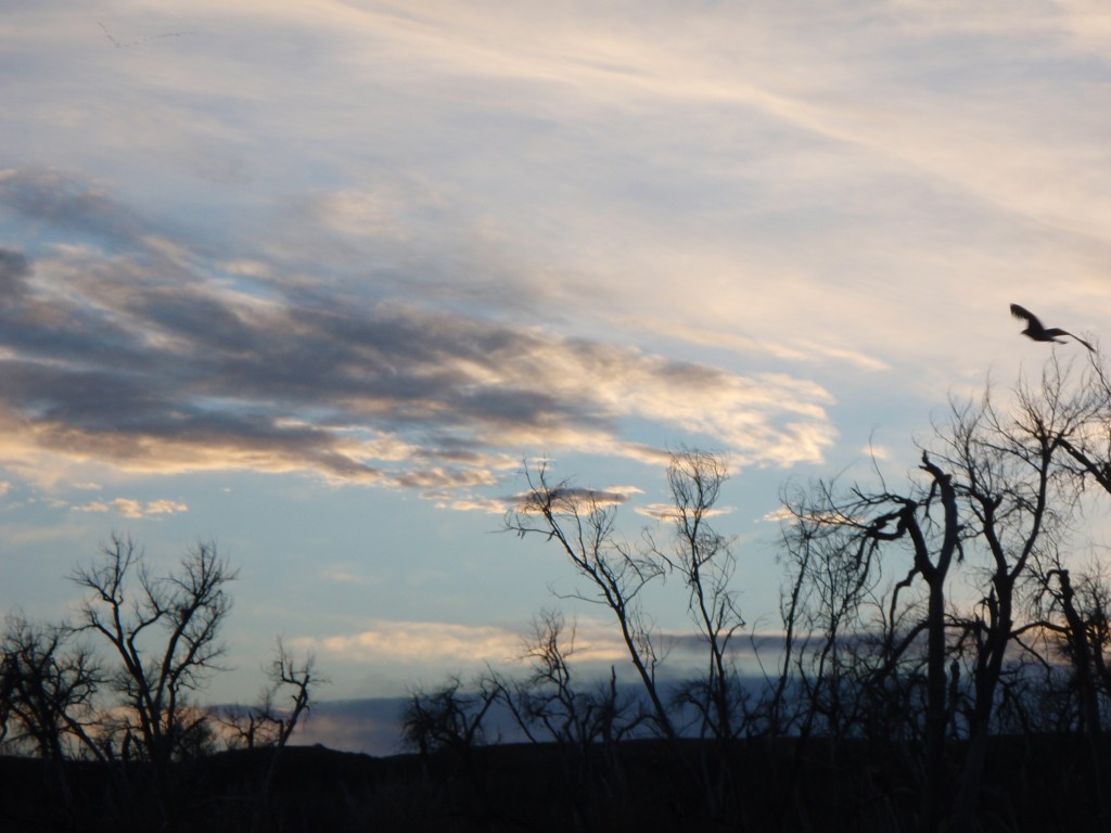 Winter on the Bighorn River