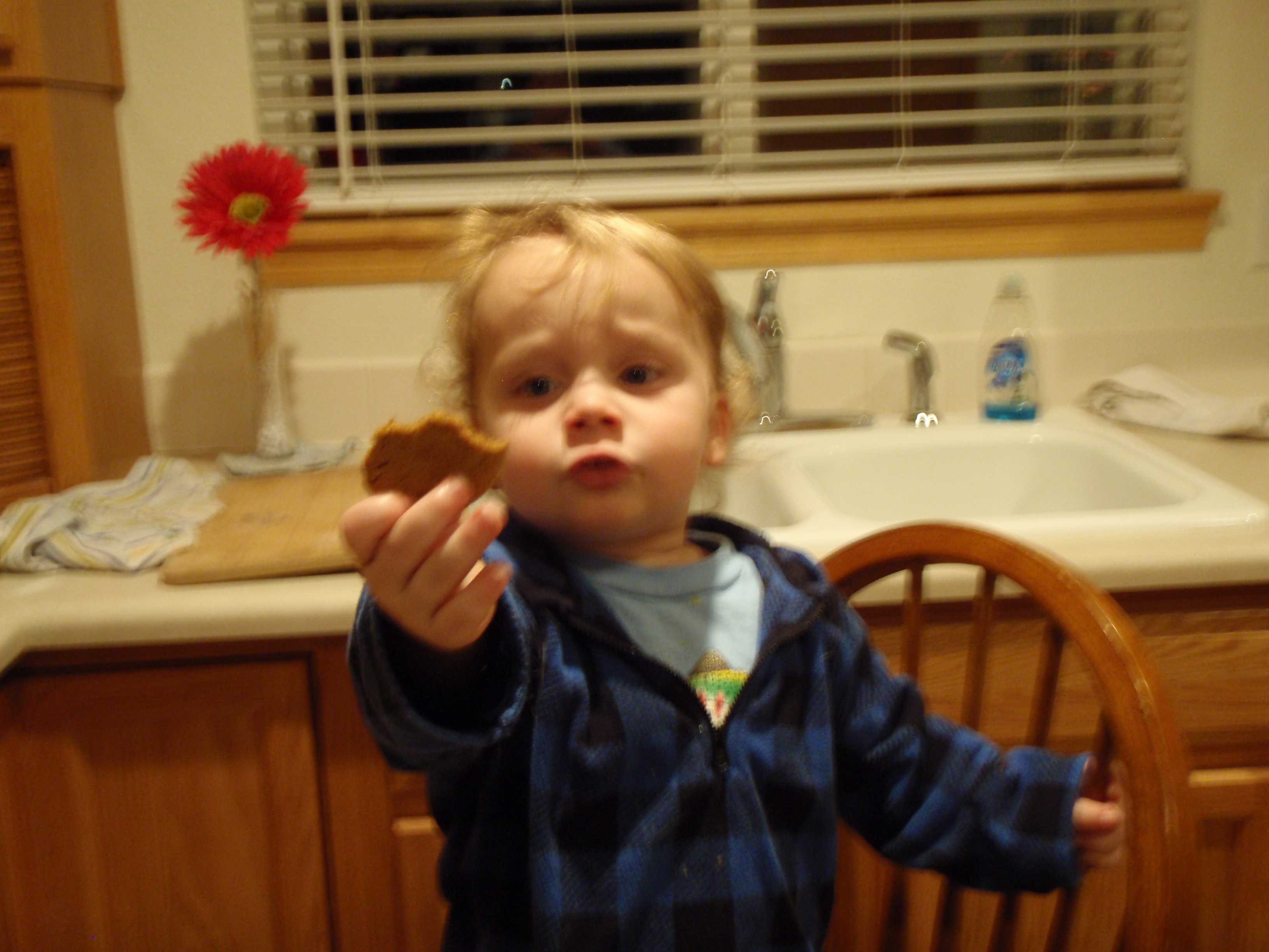 Cookies Help Veterans on Veterans Day