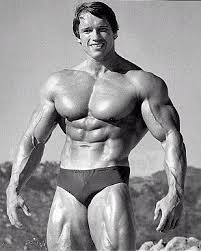 Arnold picture