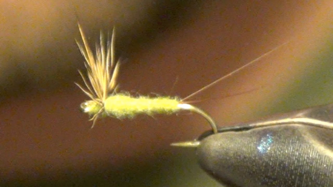 youtube placeholder image