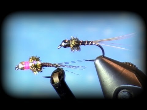 youtube placeholder image